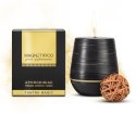 Afrodyzjakowa świeca MAGNETIFICO Candle Tantra Magic