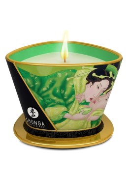 Świeca do masażu  Shunga - Green Tea Massage Candle 170 ml