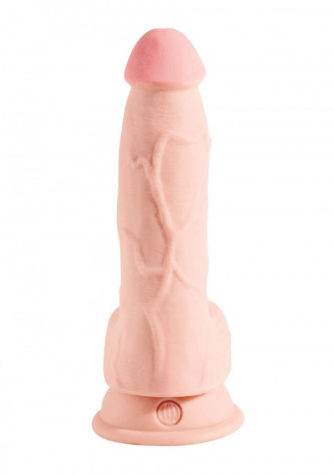 Dildo King Cock Plus 5" Triple Density Cock with Balls