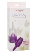 Intimate Pump Purple