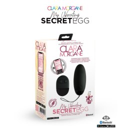 Jajeczko wibrujące sterowane aplikacją My Vibrating Secret EGG Black - App controlled